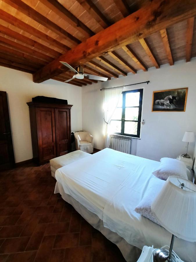 Il Casolare Val Di Mare Apartment Riparbella Exterior photo